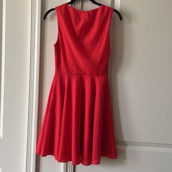 Red Express Dress - Picture 8 of 9
